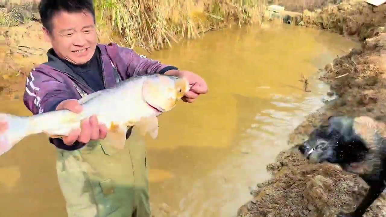 小伙带狗抓鱼，这狗太聪明了，全家人都喜欢 #我的乡村生活 #三农养殖 #抖音商城秒杀#摇出我的新年本命穿搭