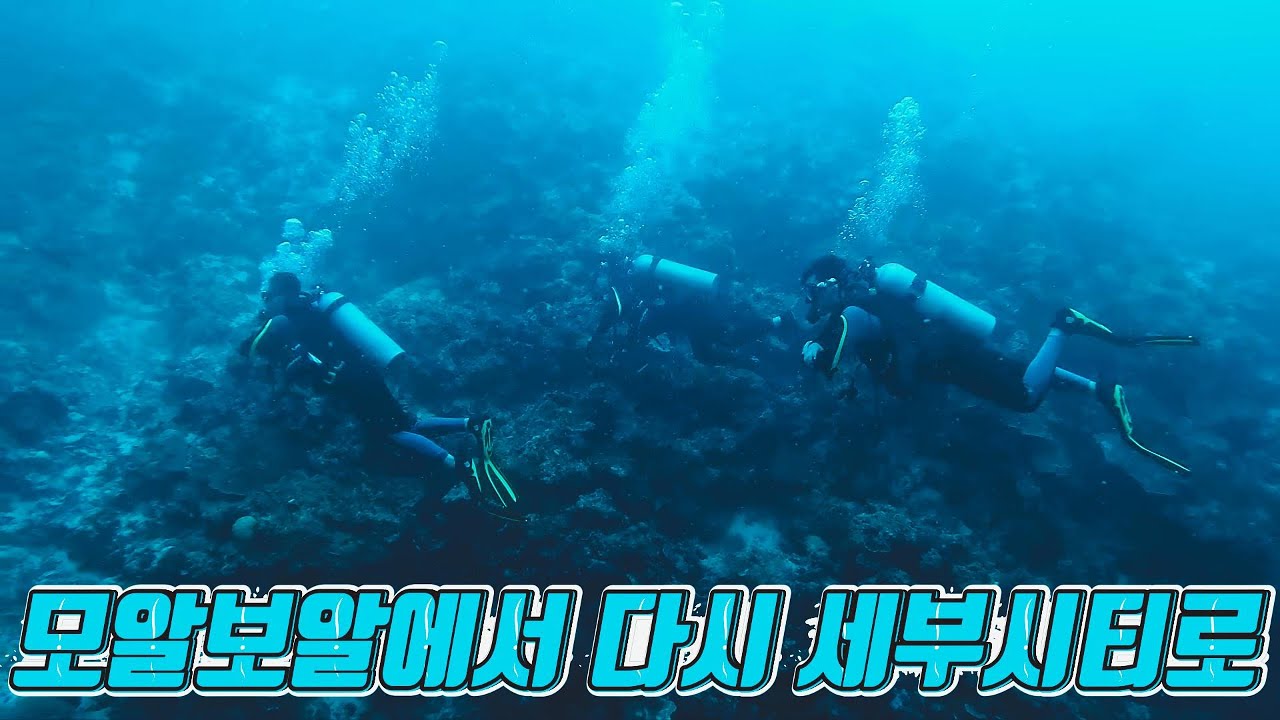 필리핀 세부 모알보알에서 다시 세부시티로 이동 ep.3