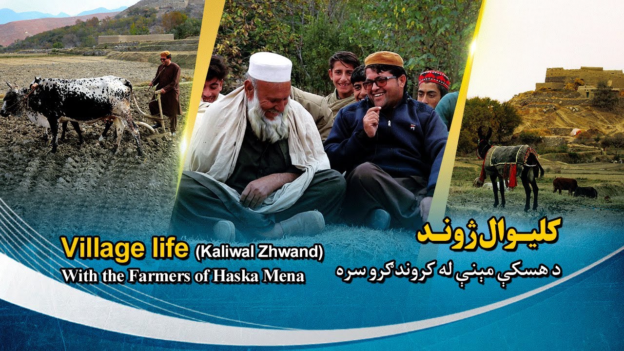 Village life; Farmers of Haska Mena کلیوال ژوند؛ د هسکې مېنې له ګروندګرو سره