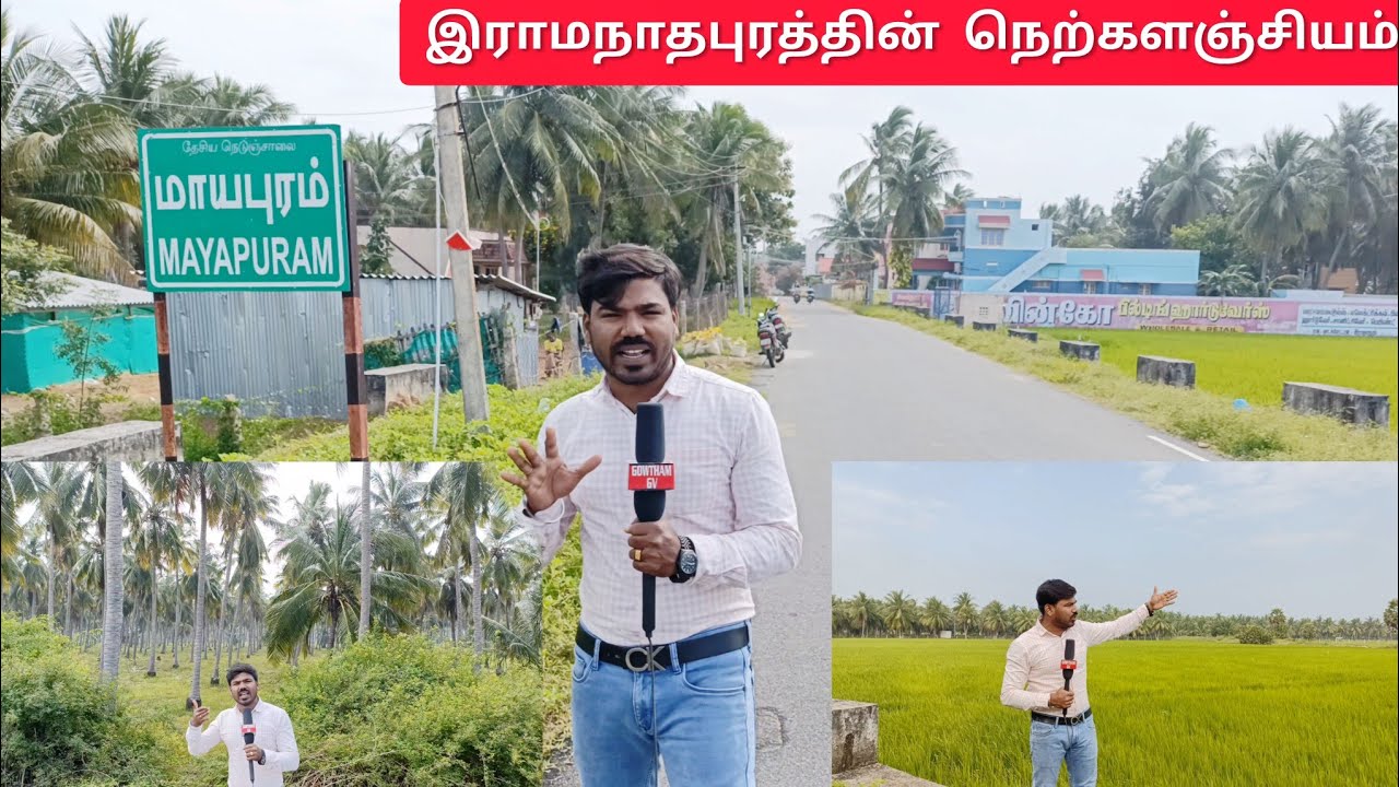 மாயபுரம் இராமநாதபுரத்தின் நெற்களஞ்சியம் #ramanathapuram #ramnad #pongal #fish #pongalcelebration 