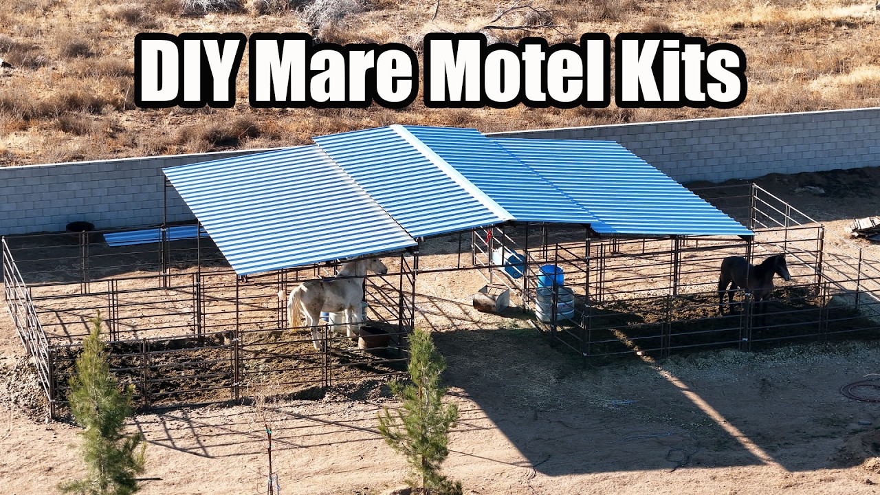 Mare Motels for Sale – Durable & Affordable 4-Stall Horse Barn Kits!