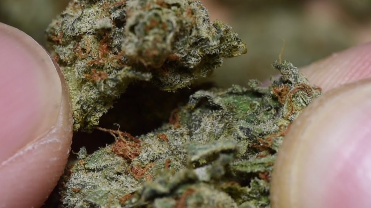 Wifi OG