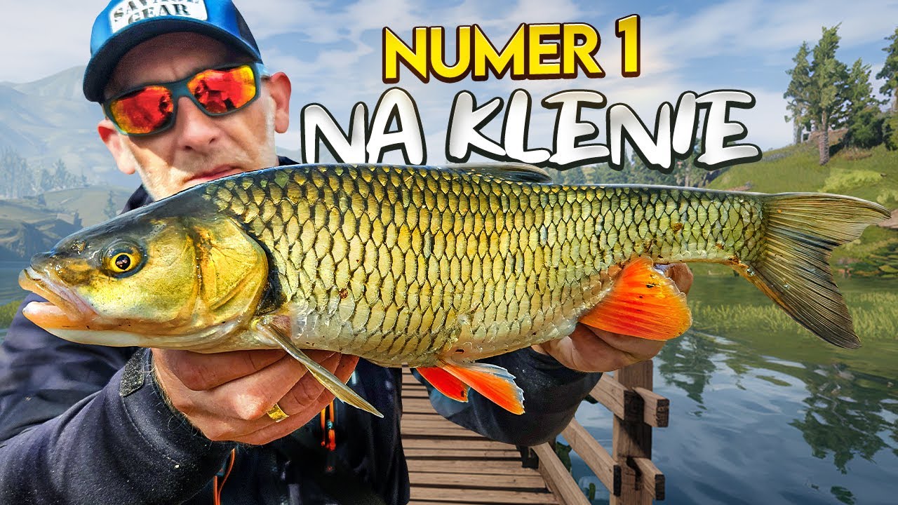 Najlepsza Przynęta na Klenie  🔥
