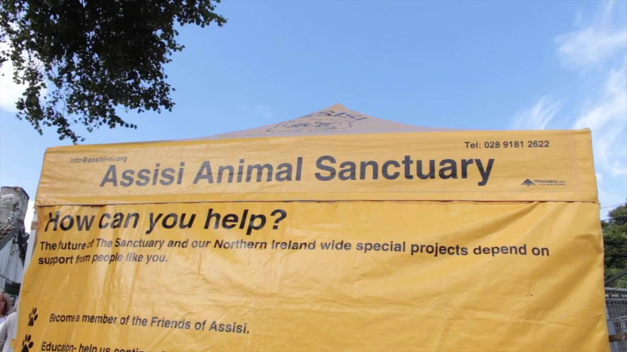 Assisi Animal Sanctuary NI