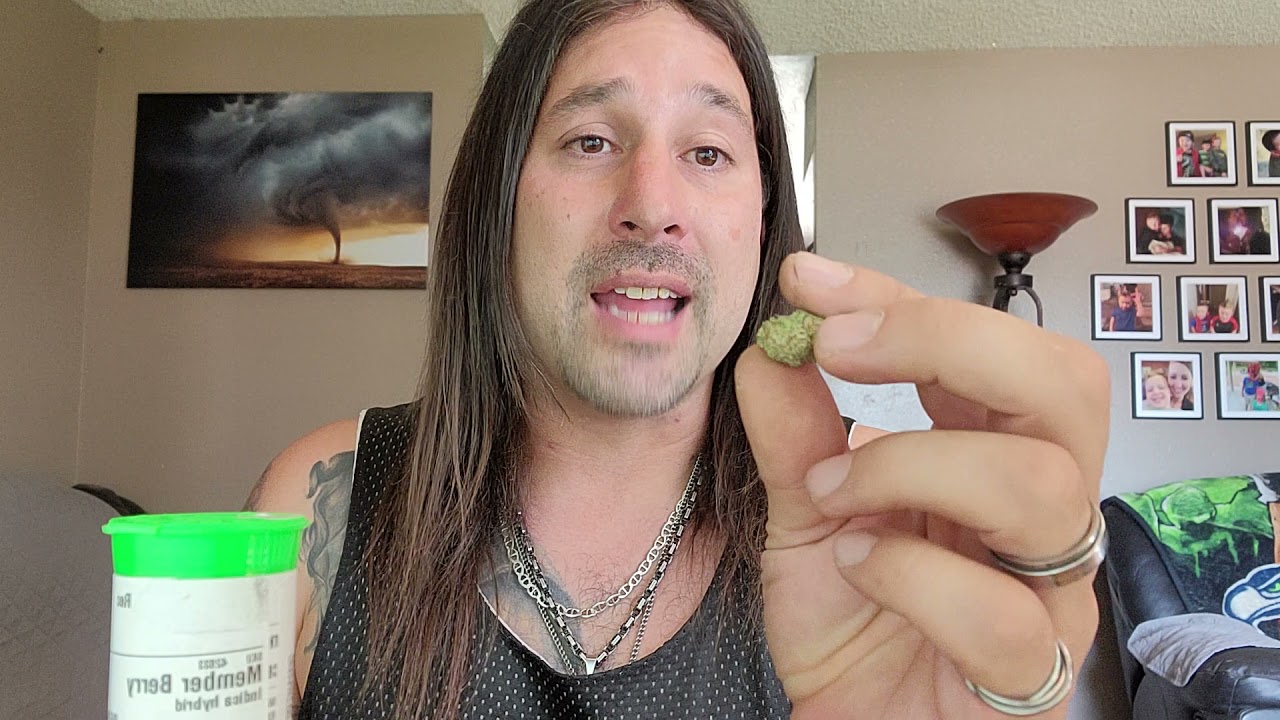 Dan's 420 Chronicles - Member Berry / Weed Review 6/11/21