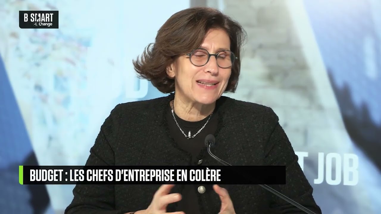 SMART JOB - Les entreprises victimes de la politique ?