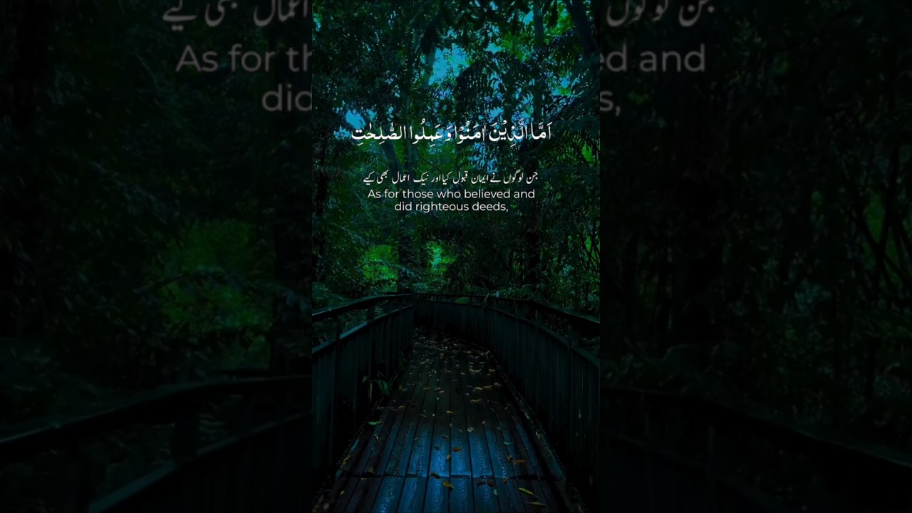 Feel the Power of Allah’s Words 