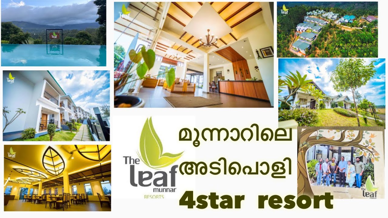 The leaf resort Munnar | munnar resort | best resort in munnar | 4k