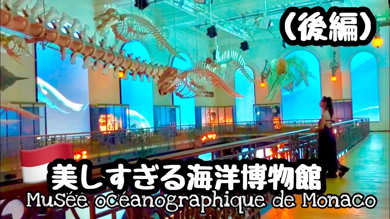 🇲🇨海洋博物館（後編）