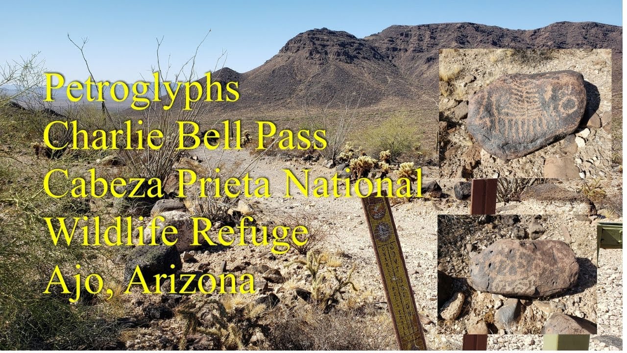 Petroglyphs: Cabeza Prieta National Wildlife Refuge Ajo, AZ, Charlie Bell Pass