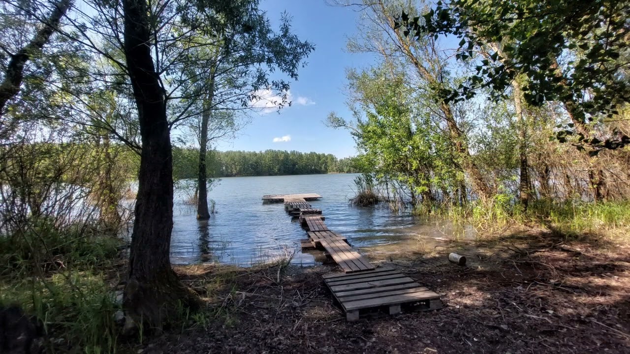 Jánvári Tamás - A Rétközi-tó