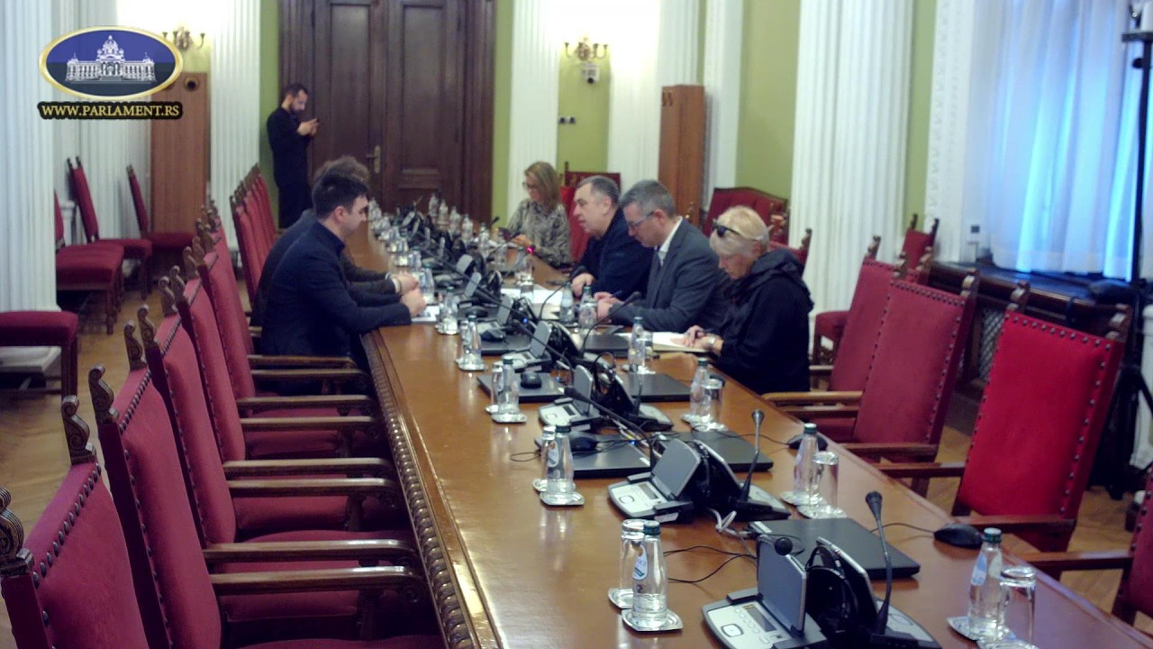 састанак Одбора за дијаспору и Србе у региону са представницима Федерације младих Срба Европе