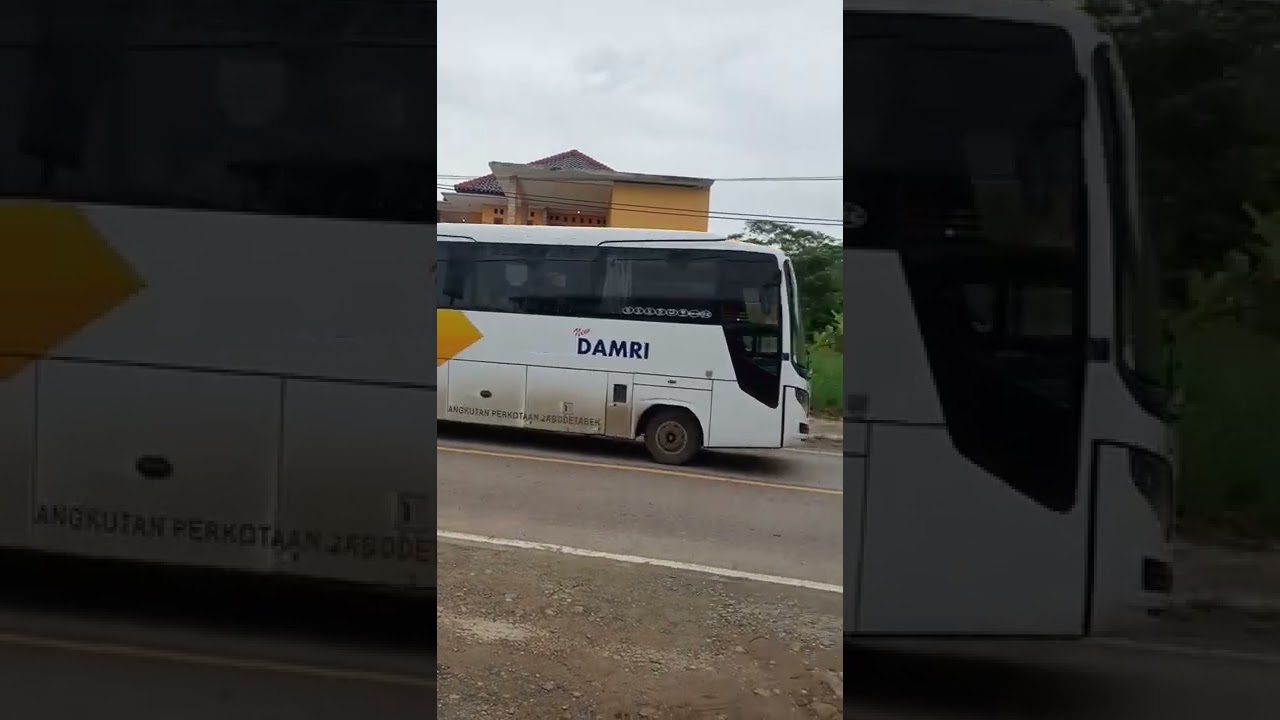 DAMRI Serang Cikotok