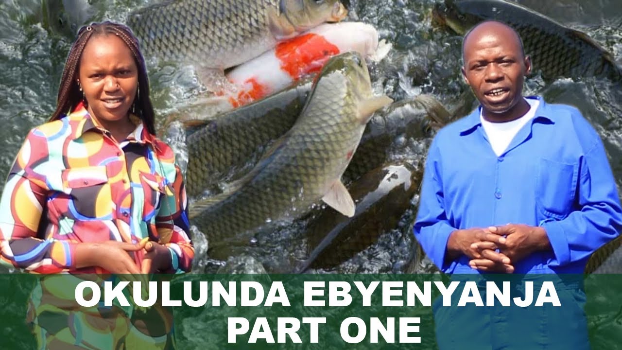 Okulunda ebyenyanja part one
