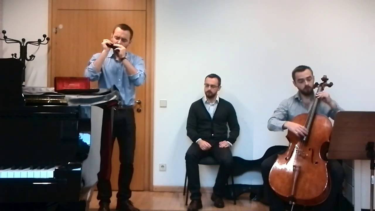 Bach: Air on the G string (Cello & Harmonica)