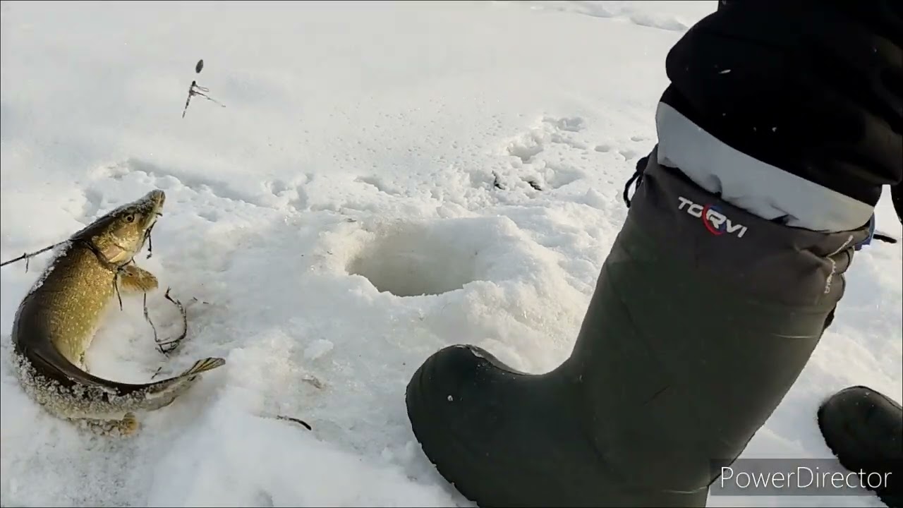 Ловля щуки на жерлицы  N2