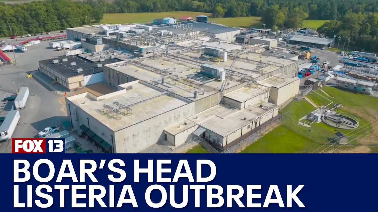 Disturbing details of Boar's Head plant in Virginia | FOX 13 Seattle
