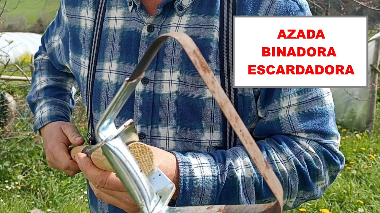 Azada escardadora de malas hierbas #binadora