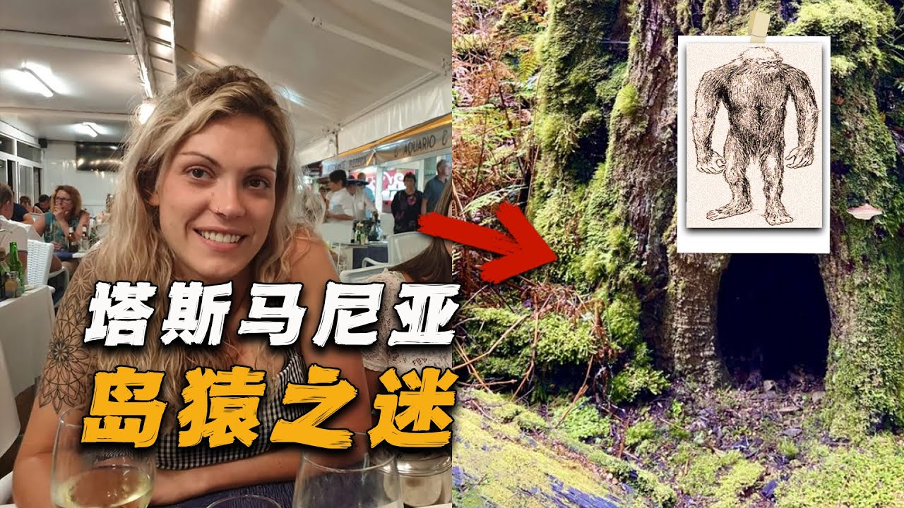 监控拍摄到骇人一幕，背包客前往雨林徒步却离奇失踪，塔斯马尼亚岛猿之谜
