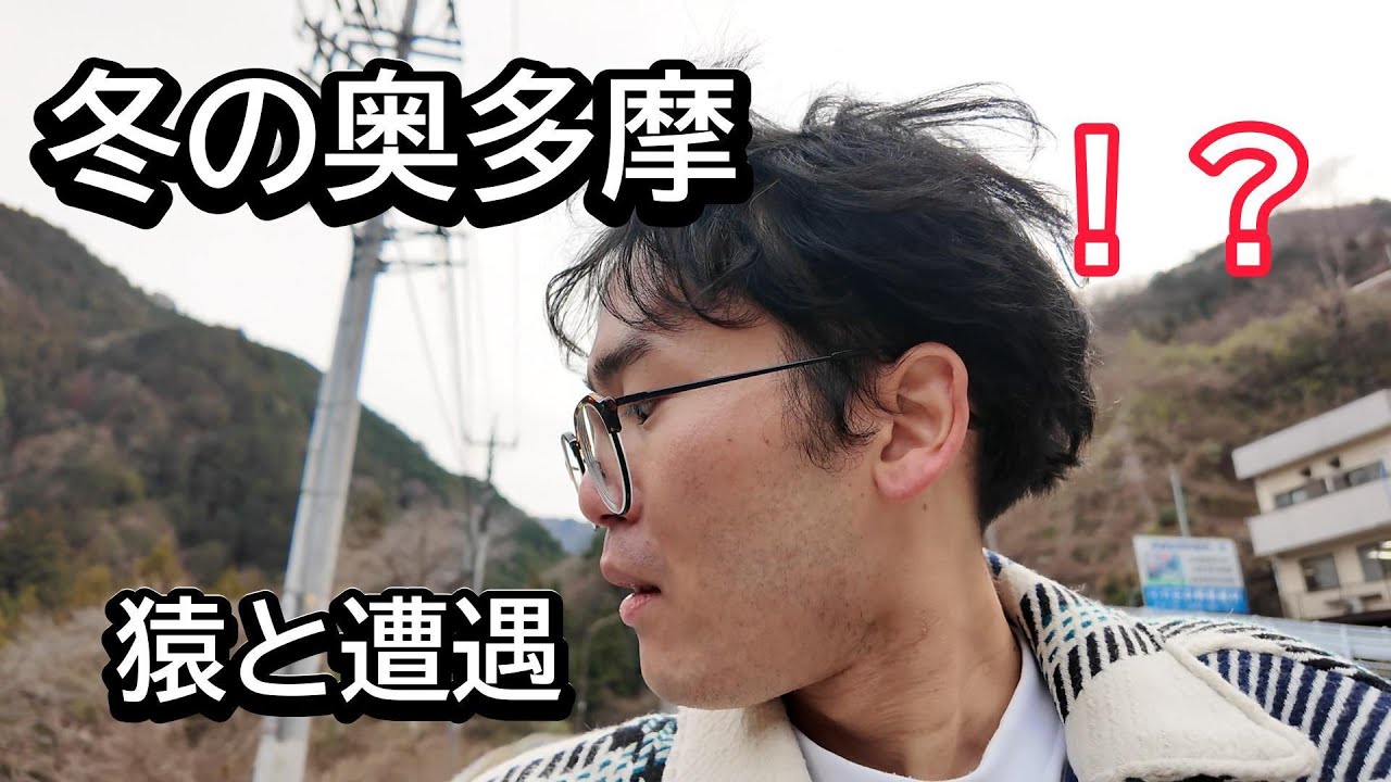 【都内で野生の猿？】奥多摩一人散歩してたら猿の群れと遭遇してパニクる男