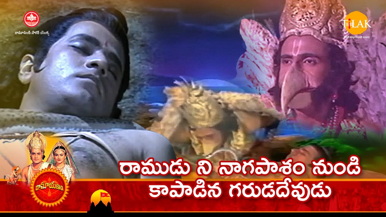 రామానంద్ సాగర్ రామాయణం | రాముడు ని నాగపాశం నుండి కాపాడిన గరుడదేవుడు | Tilak Telugu