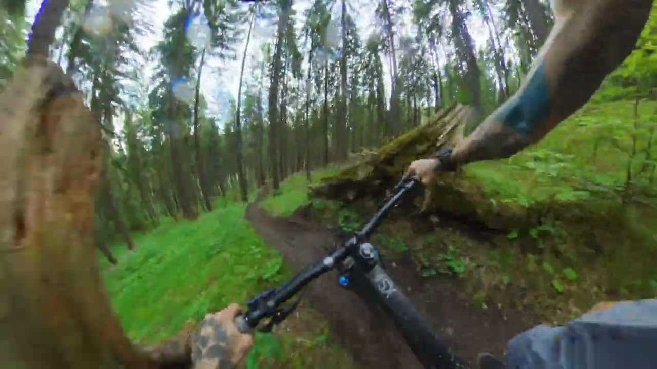 Blue Velvet & Monster Dog