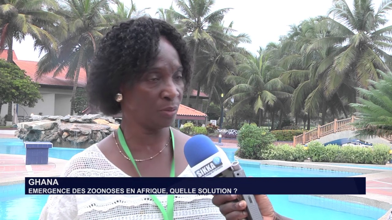 ZOONOSE REPORTAGE