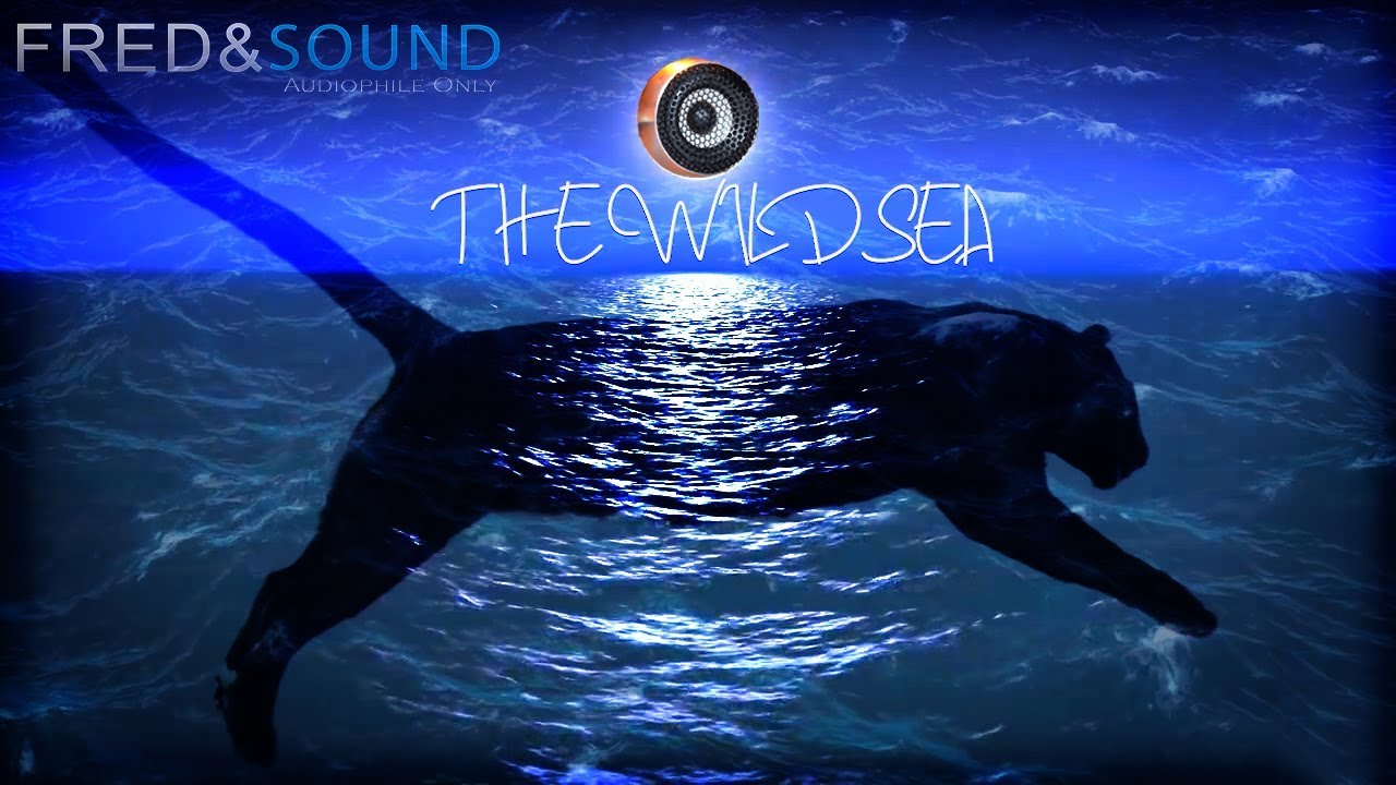 #STEREO THE WILD SEA by Fred & Sound Official Mix (Music/Sound Test)