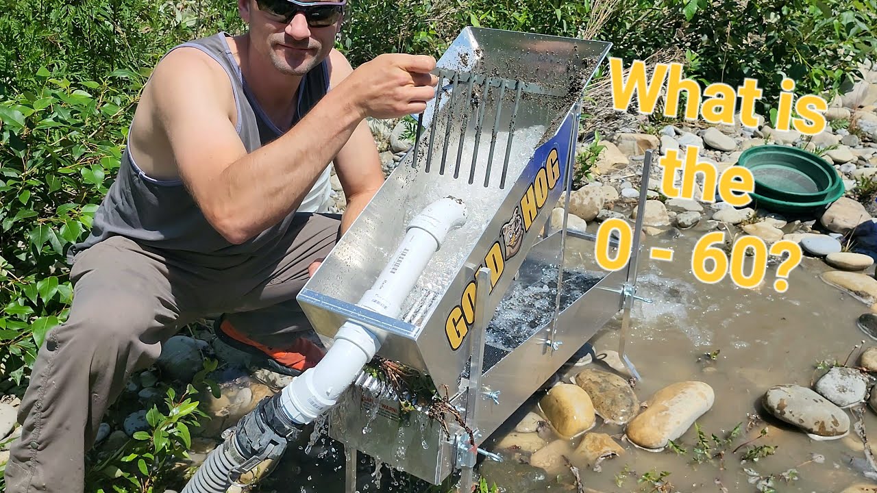 Тест и обзор поросят Gold Hog.