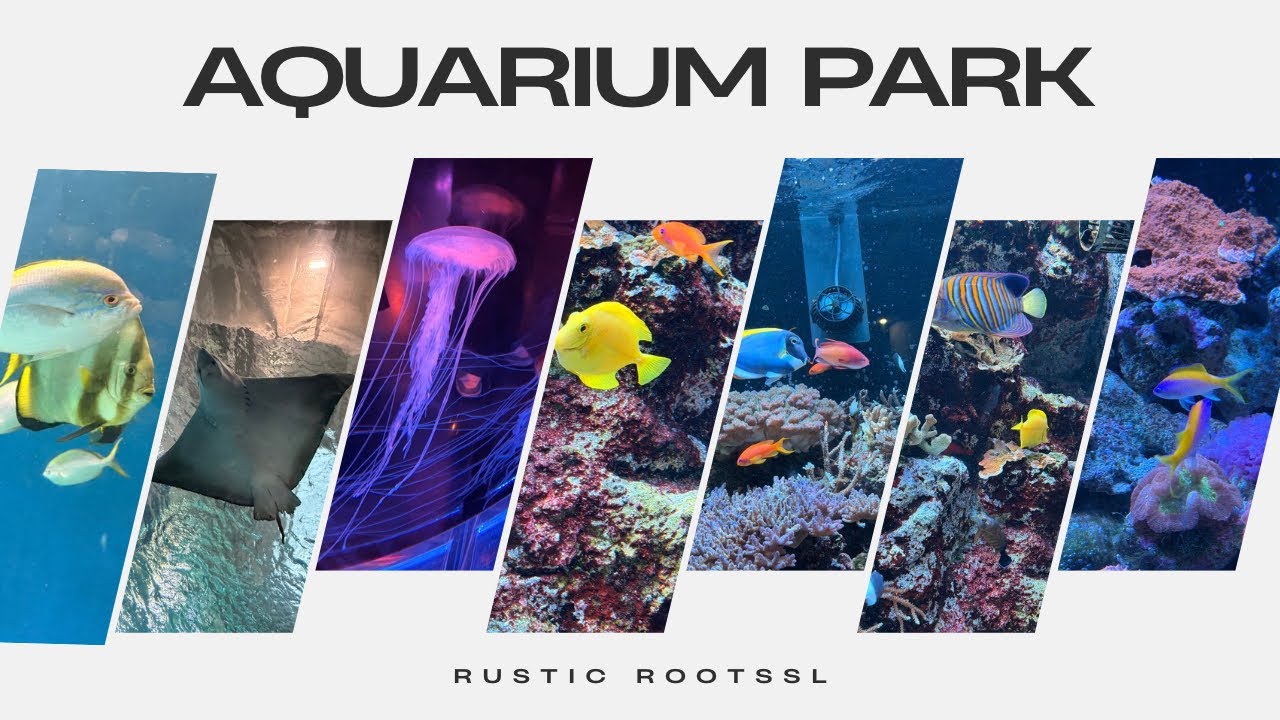 @RusticRoot-sl #shinagawa #aquarium #beautiful #fyp #japan #fish 