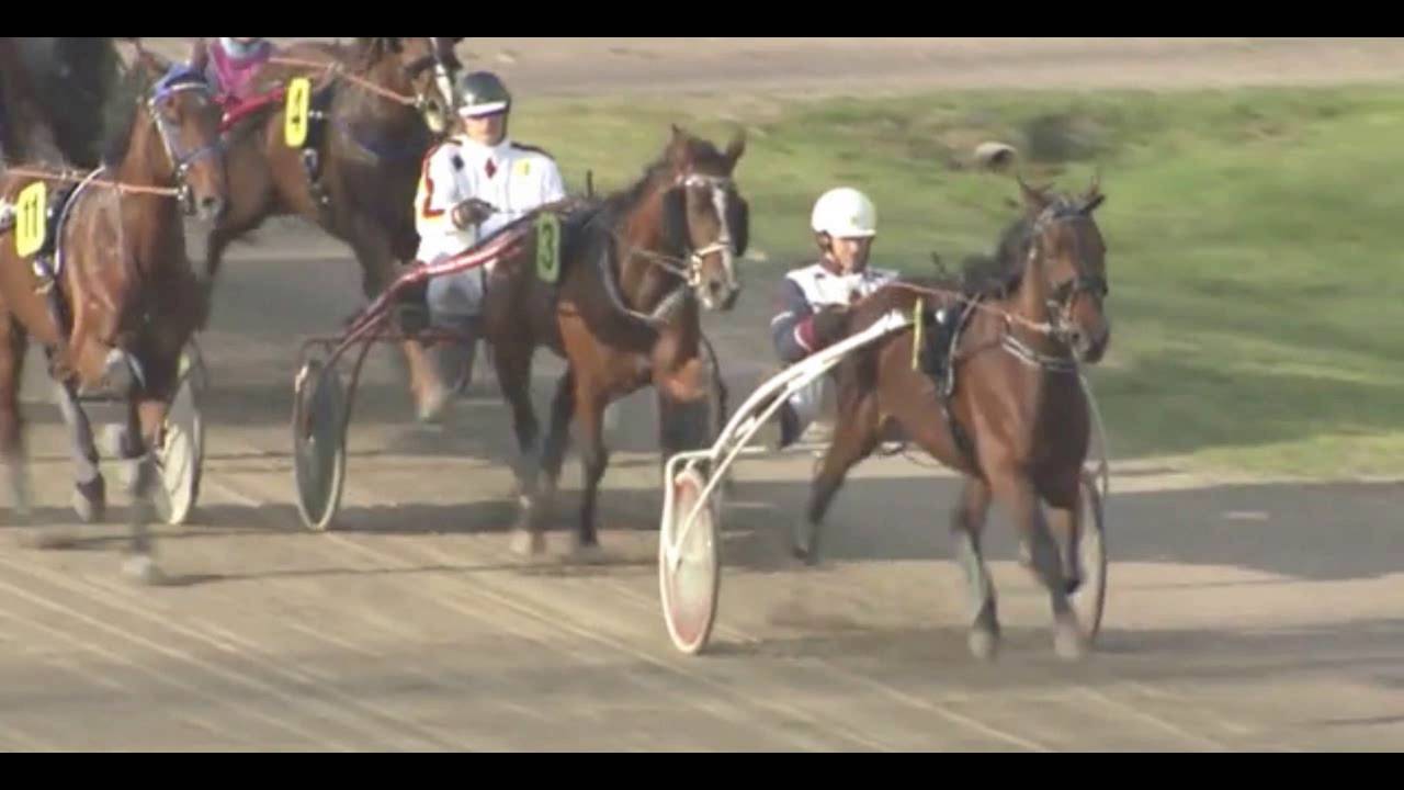 Roscoft_Michael Voigt_Hamburg_23.10.2016