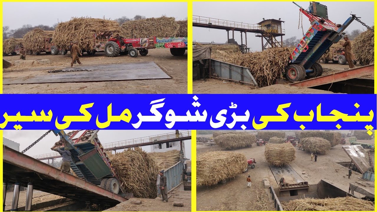 We will take you on a tour of the big (Ashraf Sugar) mill in Punjab and see how sugarcane is unload