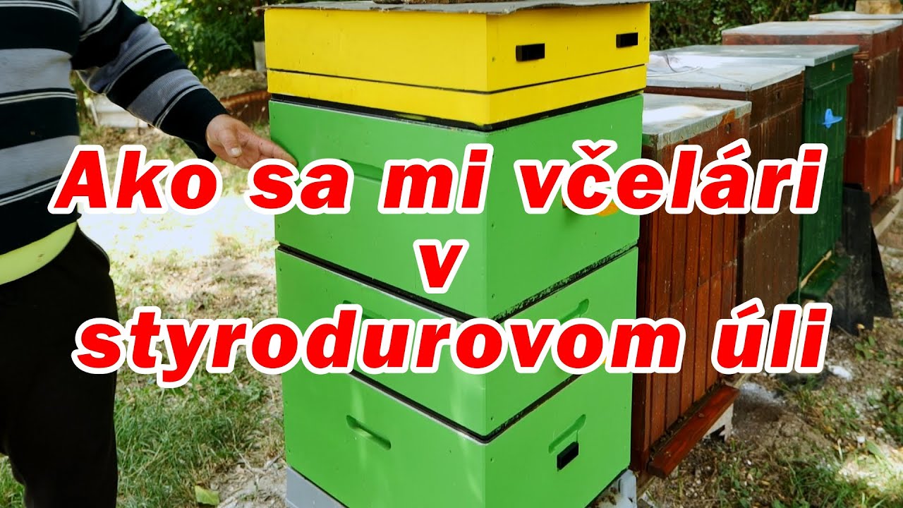 192. Ako sa mi včelári v styrodurovom úle