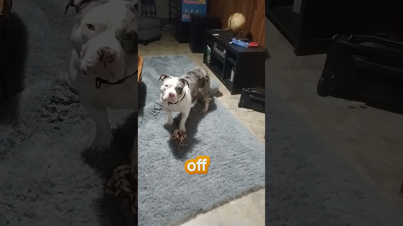 "Don't feel like it today"