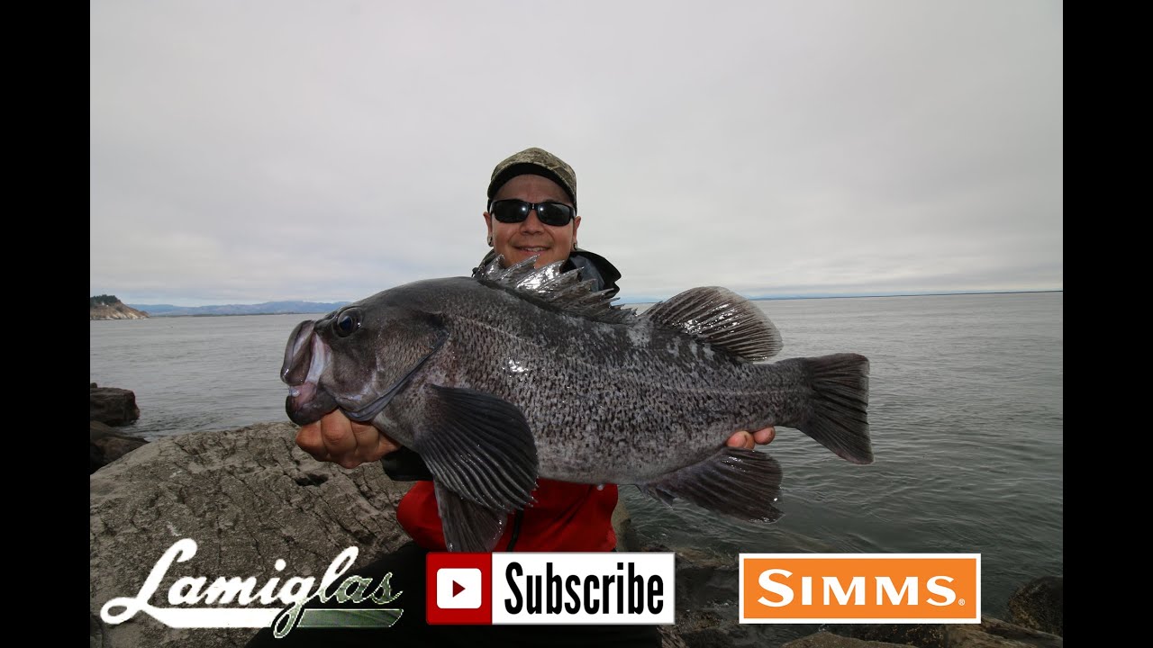 JETTY Black Rock Fish: HOW TO w/ NWanglerz CHOICE.