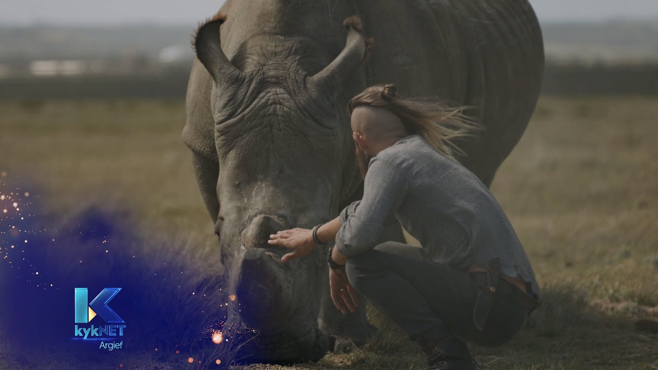 Kw&ecirc;la - Justin Terblanche (Renosters)