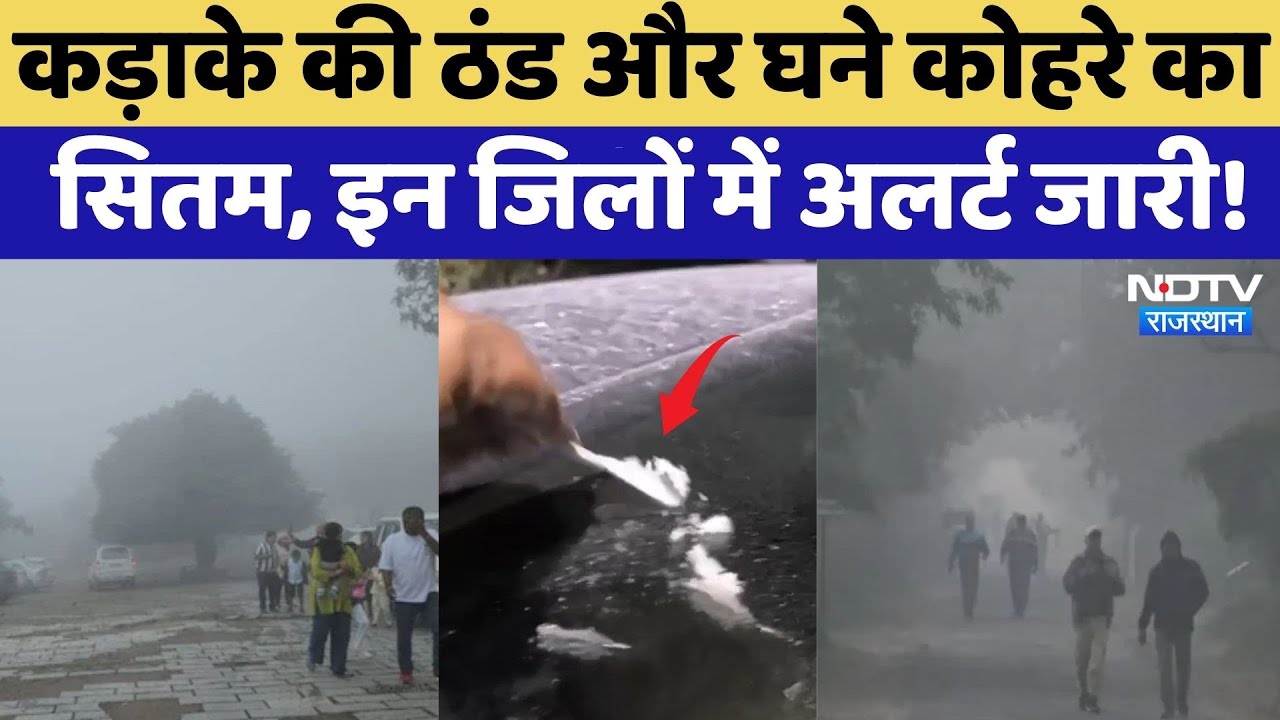 Rajasthan Weather: कड़ाके की ठंड और घने कोहरे का सितम, इन जिलों में Alert जारी | Top News | Latest