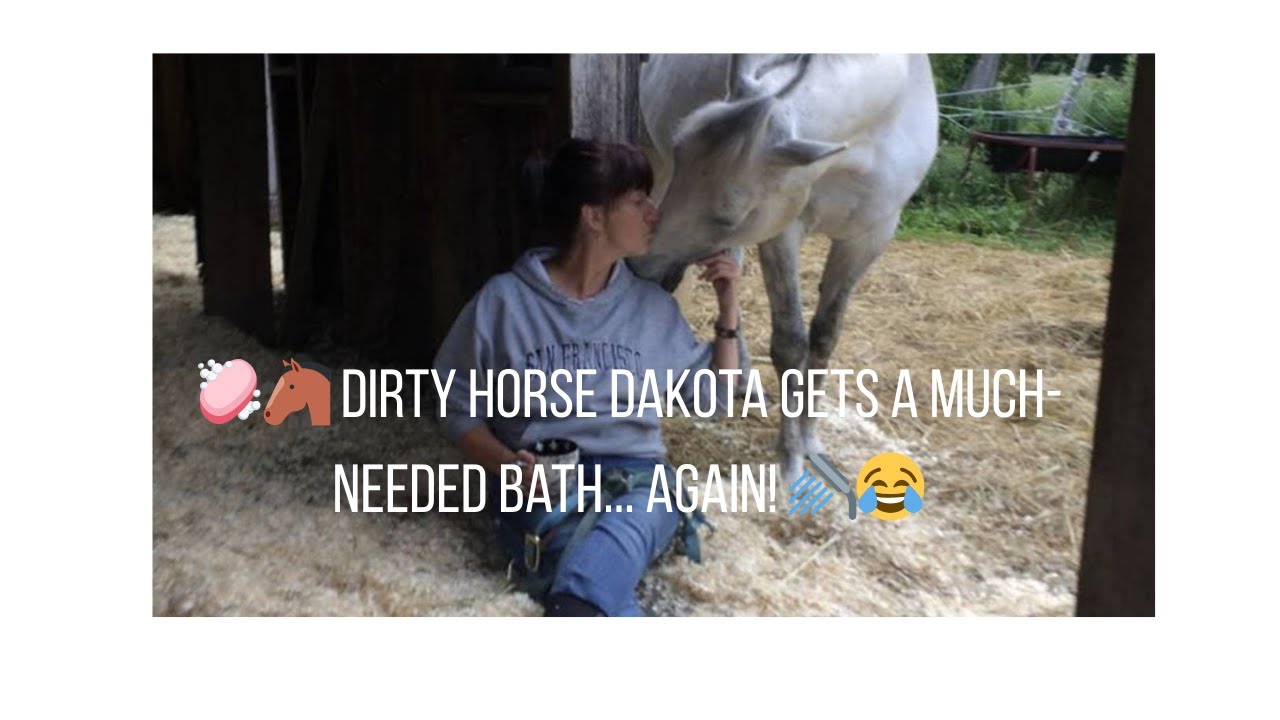 🧼🐴 Грязная Лошадь Дакота снова принимает столь необходимую ванну! 🚿😂