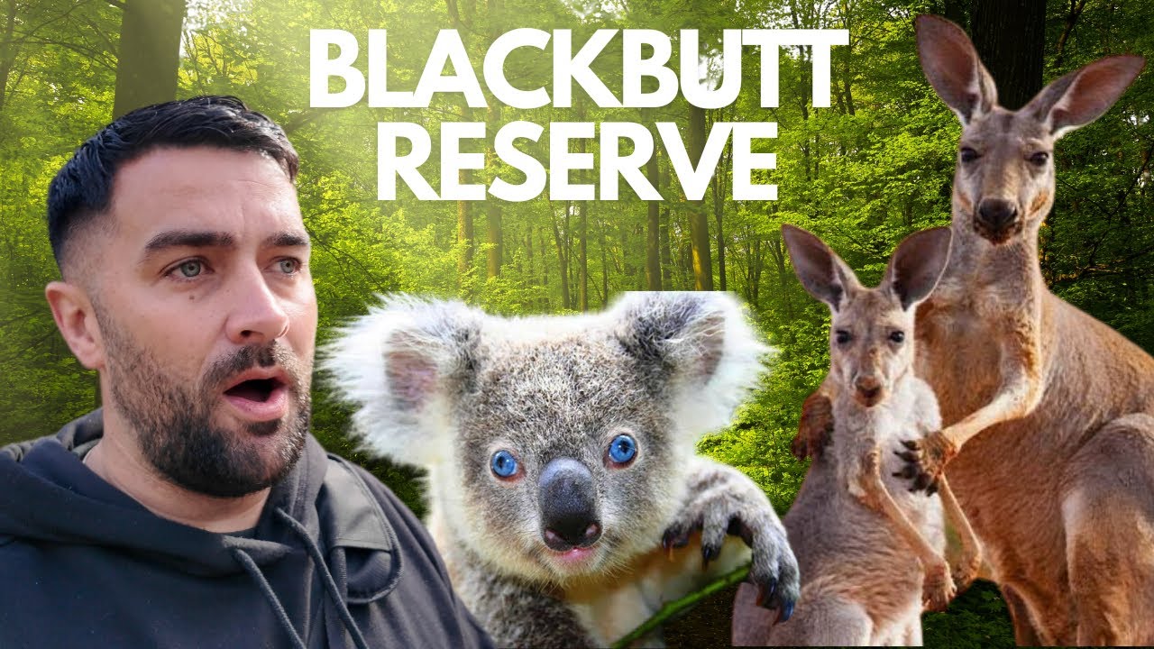 BLACKBUTT RESERVE… NEWCASTLE NSW 📍