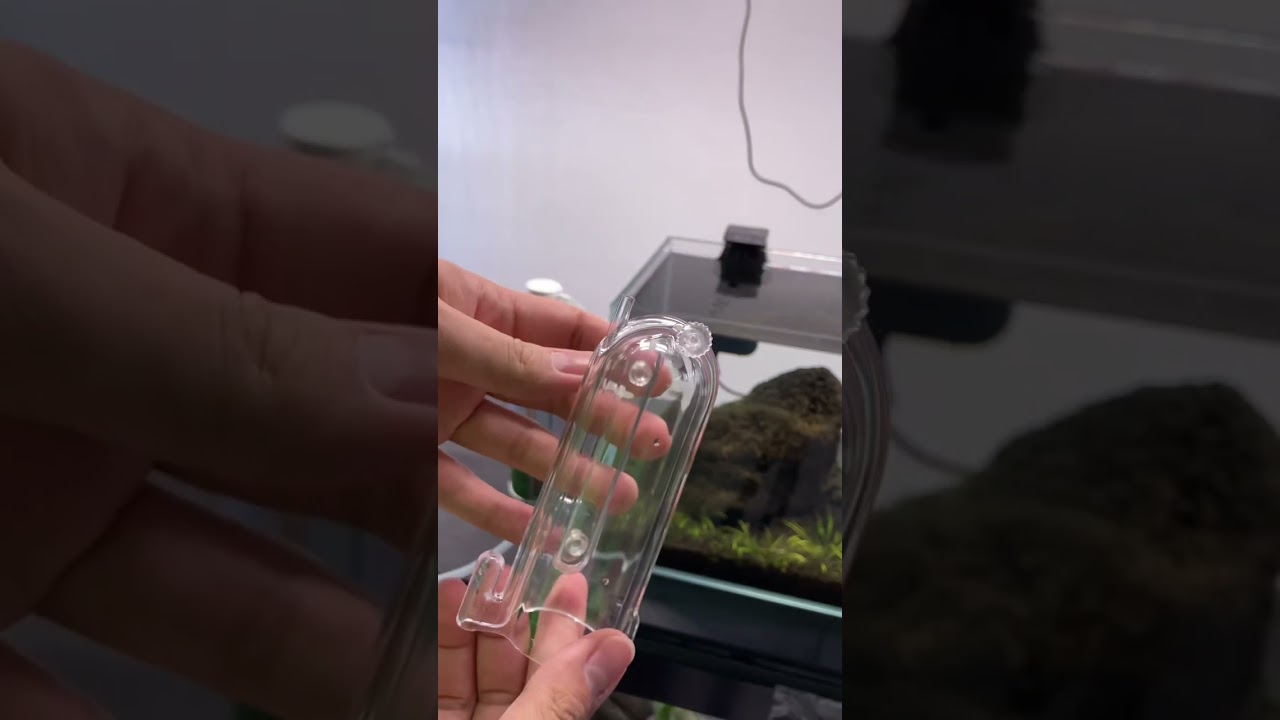 How to install ISTA CO2 set | Budget CO2 for planted aquarium