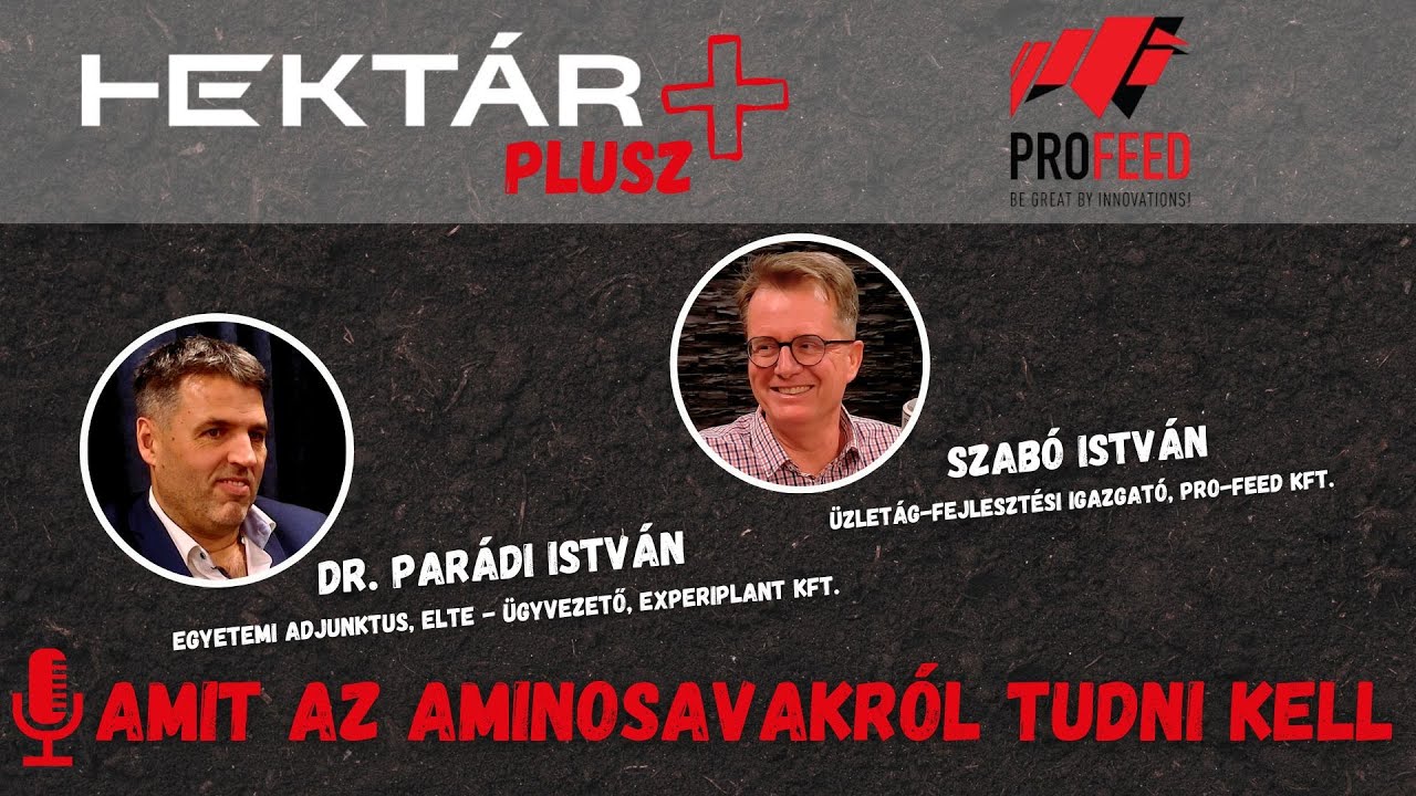 AMINOSAVAK: csodaszerek aszály ellen vagy pénzkidobás? – Tévhitek, sarlatánságok és élettani tények