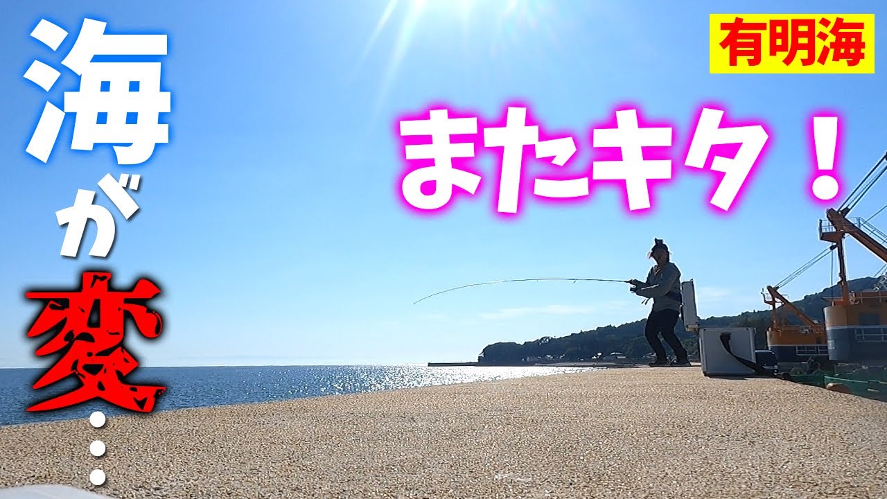 生きたエビの泳がせ釣りでヒラメ狙い‼有明海で滅多に釣れない魚が釣れた‼
