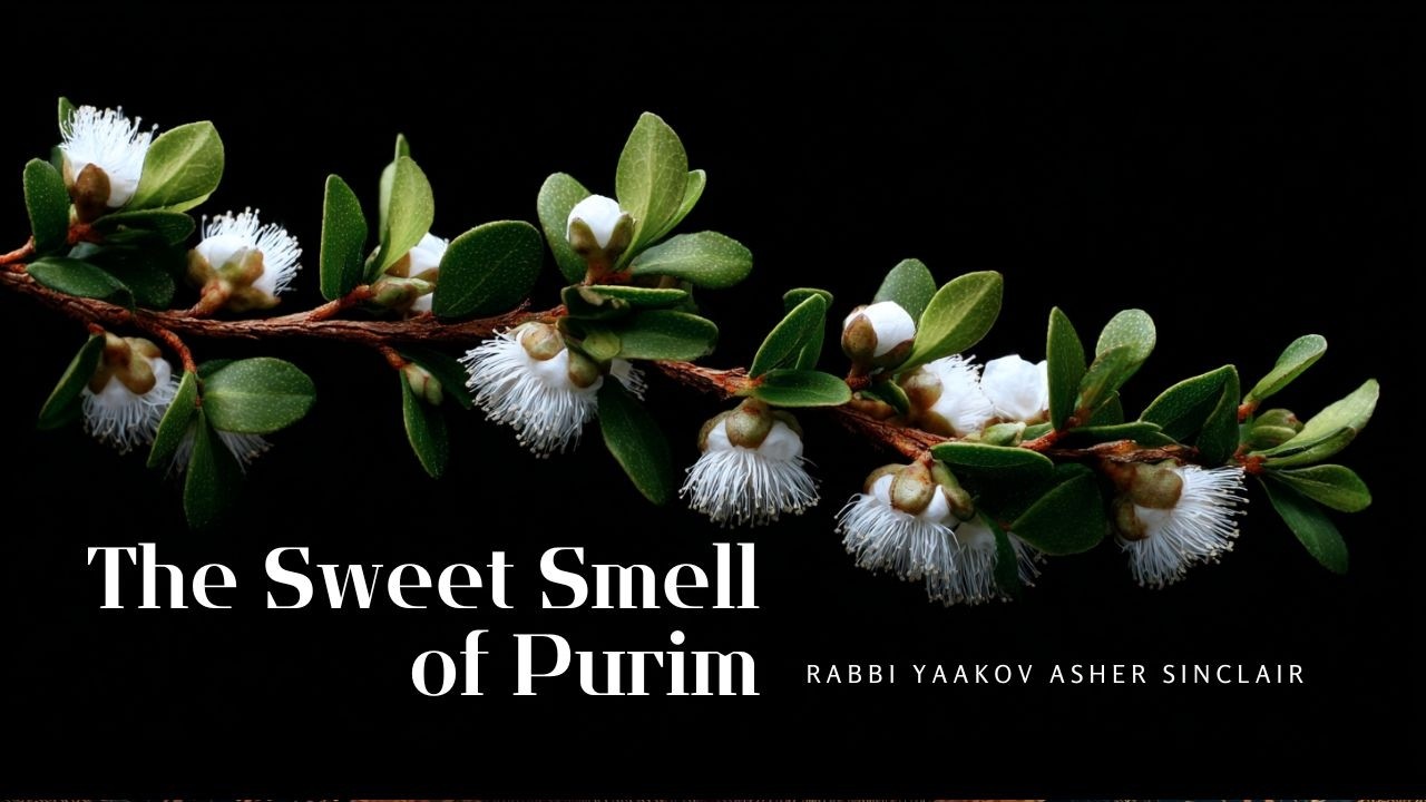 The Sweet Smell of Purim