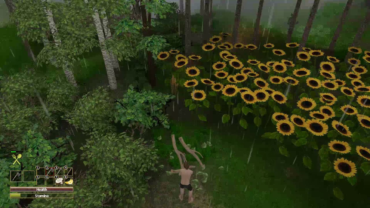 Force Of Nature 