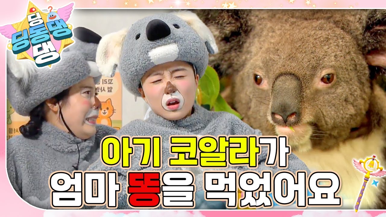 아기코알라 코코 환자가 배탈로 병원에 왔어요!ㅣ딩동댕 딩동댕ㅣ아기 코알라가 엄마 똥을 먹었어요