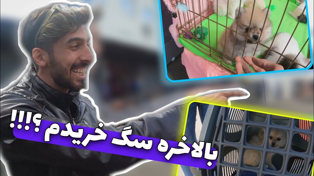 ولاگ بازار حیوانات در اوکراین شهر کیف / بالاخره سگ خریدم؟