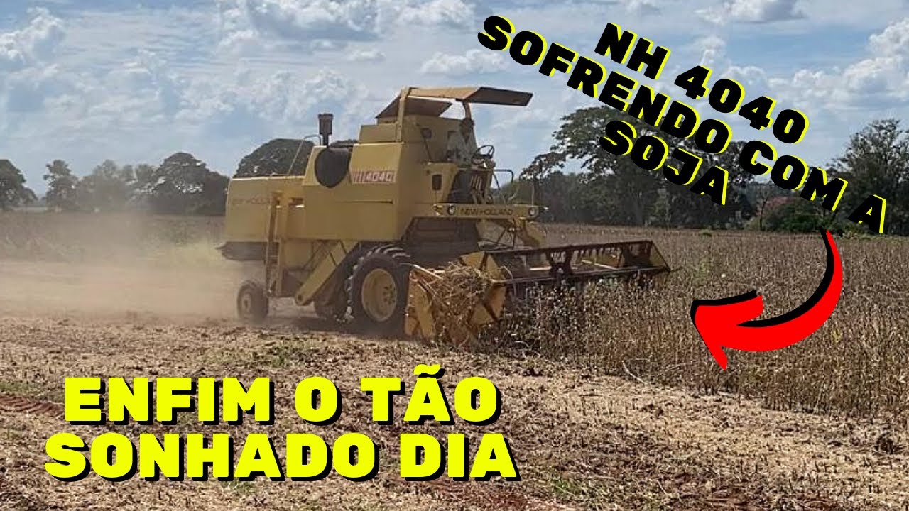 New Holland 4040 Sofrendo com a Soja || Colhendo Nossa Lavoura de Soja || WILLIAN OLIVEIRA