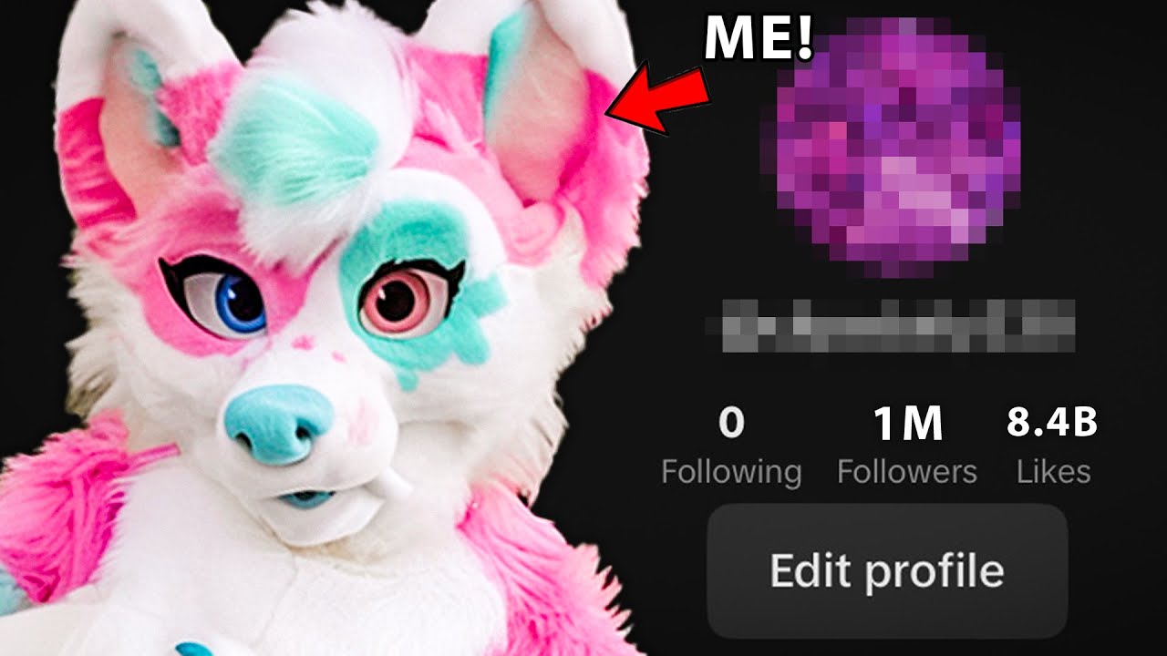 Я создал СКРЫТЫЙ Furry TikTok-аккаунт!