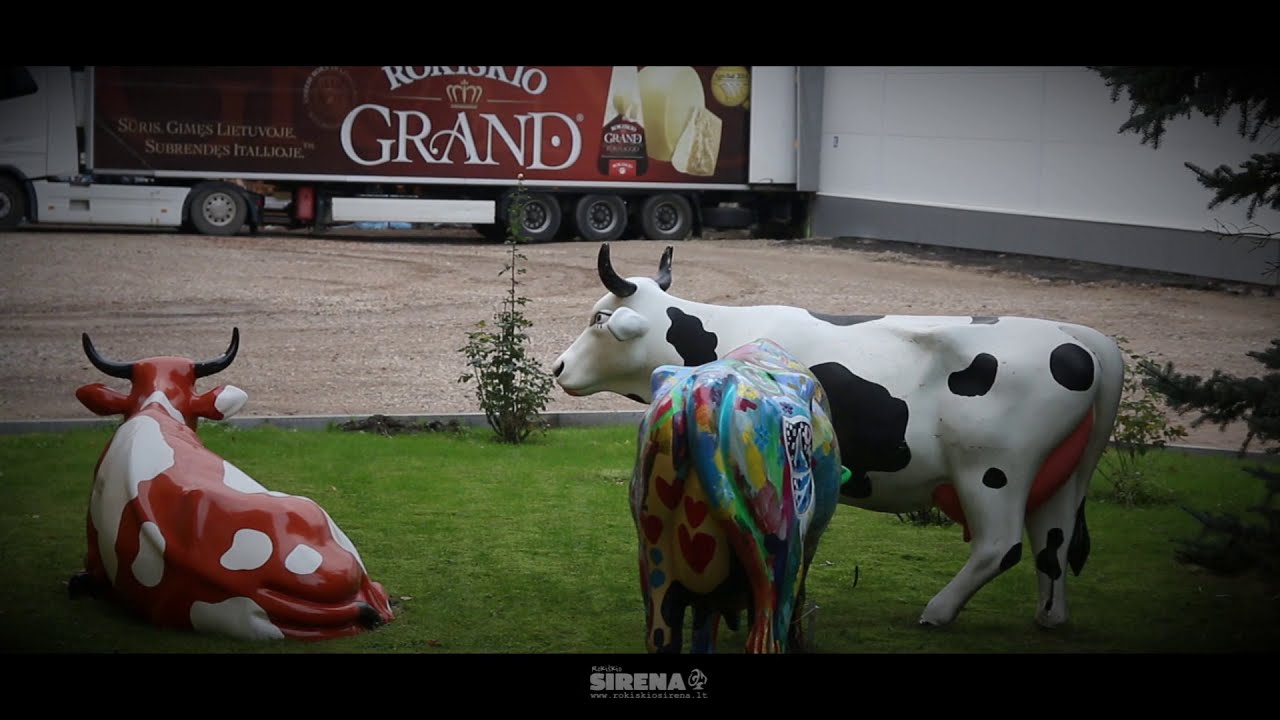 Made in Rokiškis - How cheese GRAND is made