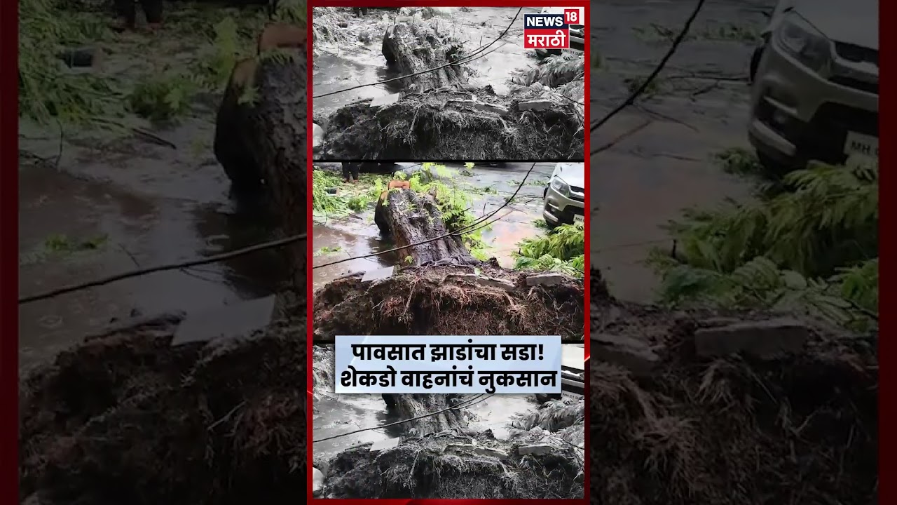 Navi Mumbai Rain News | आठवडाभरात 324 झाडे कोसळली, वाहनांचे मोठे नुकसान  | N18V